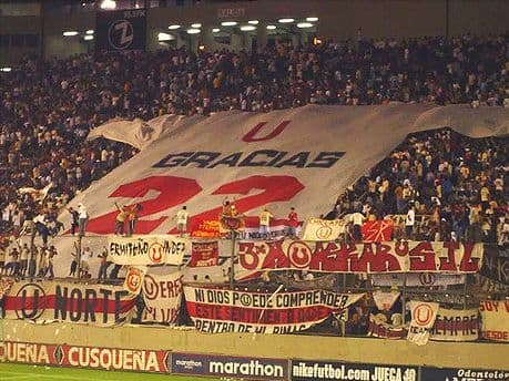 La noche del Puma