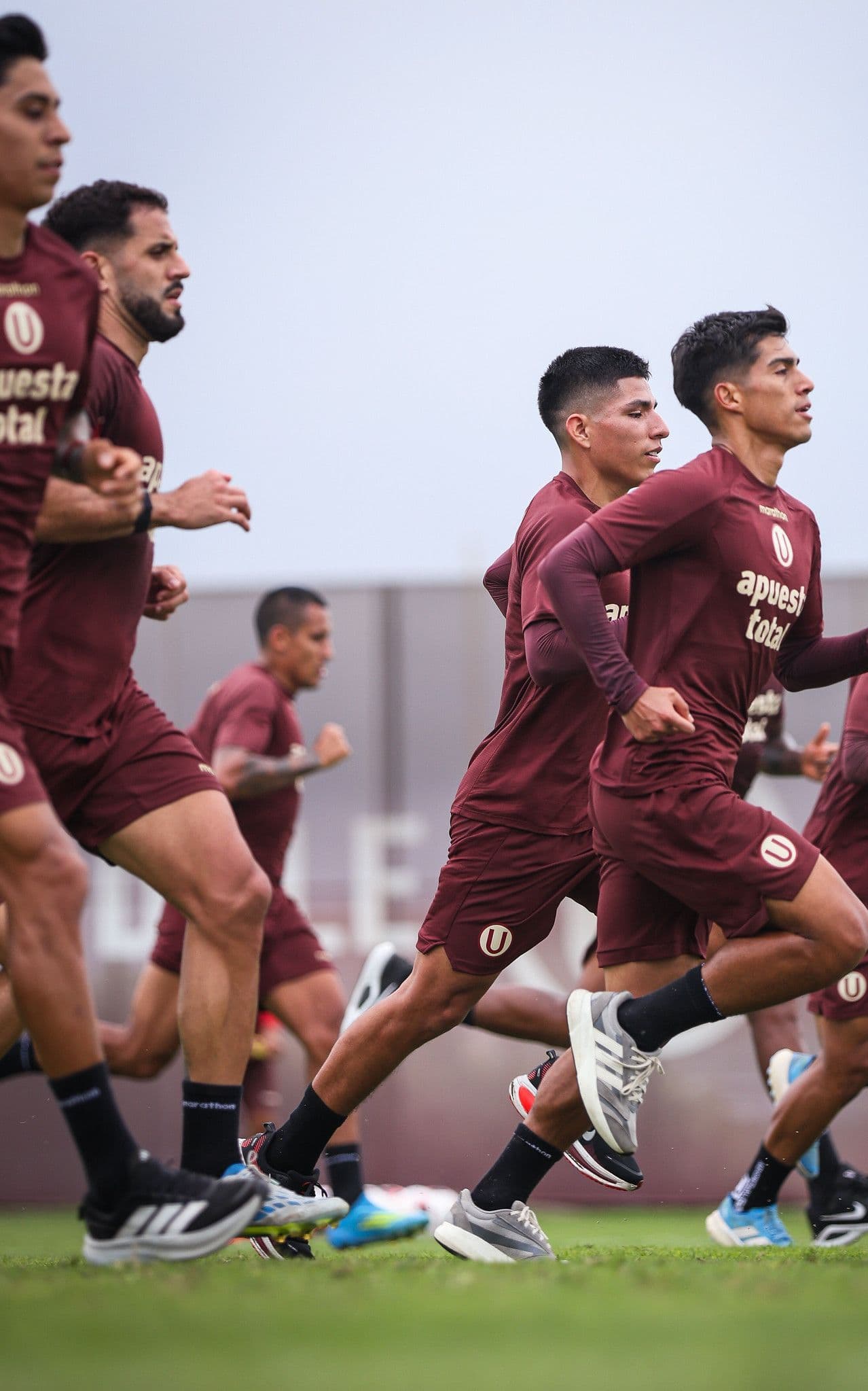 Plan de actividades del primer equipo de Universitario de Deportes
