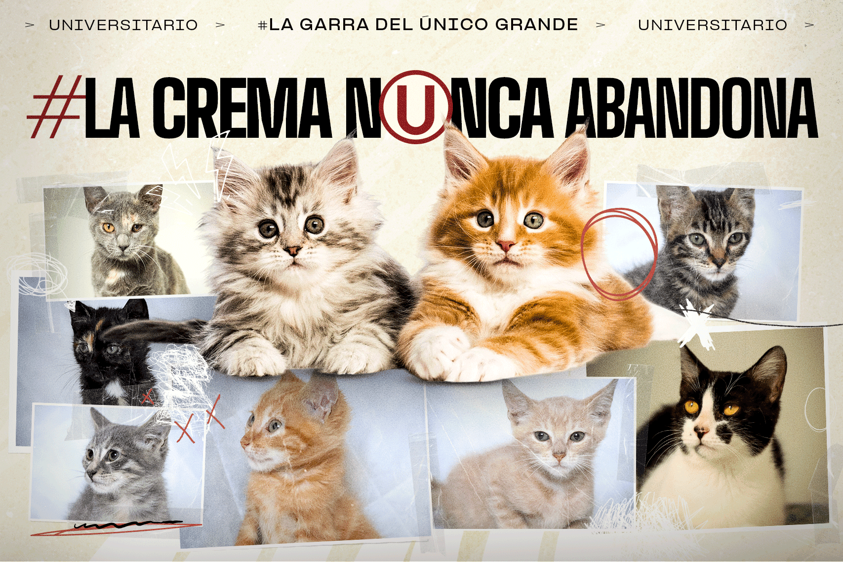 Universitario de Deportes lanza la campaña #LaCremaNuncaAbandona junto a Mish Perú