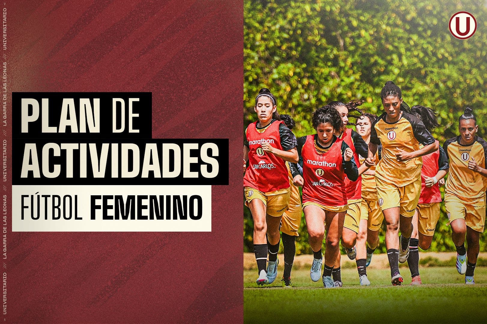 Plan de Actividades: Equipo de fútbol femenino de Universitario de Deportes