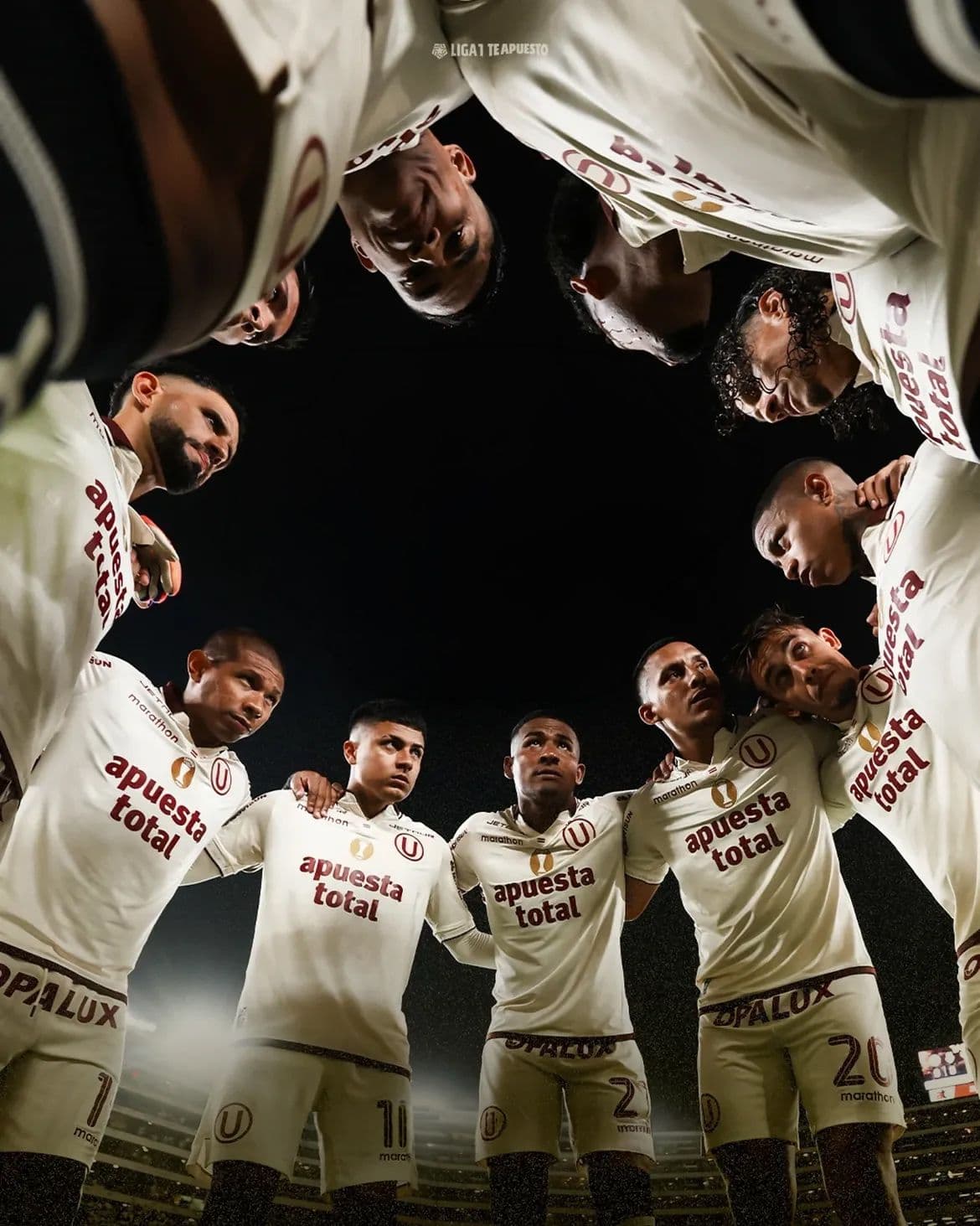 Fútbol masculino