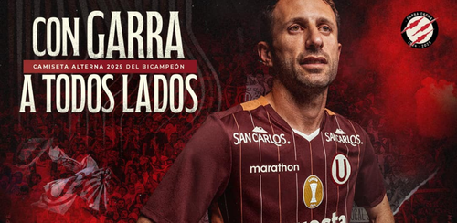 Camisetas oficiales