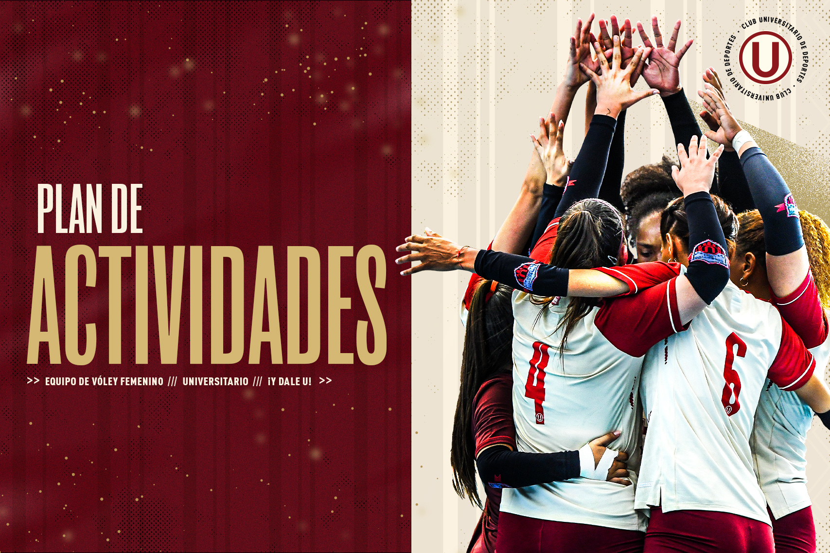 Plan de actividades: equipo de vóley de Universitario Deportes