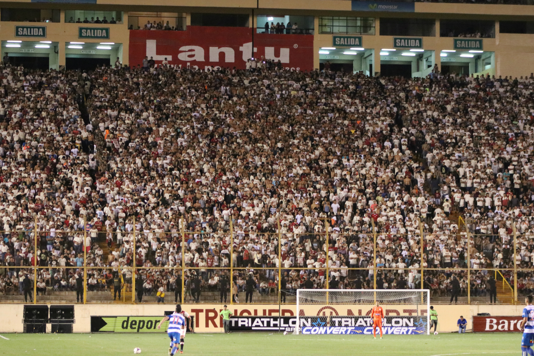 tribuna norte